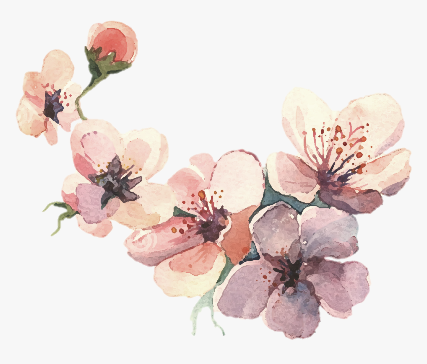 Download Watercolor Painting Water Color Svg Library Library Flower Water Paint Png Transparent Png Kindpng