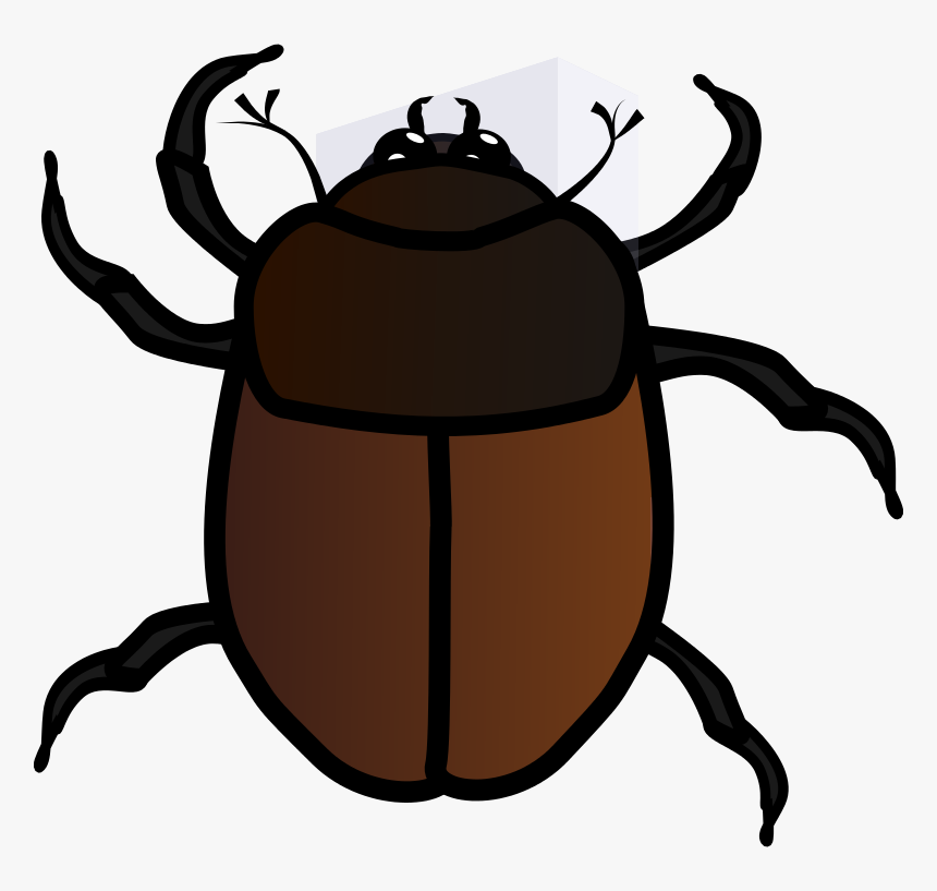 June Bug Clipart - Bug Clipart, HD Png Download, Free Download