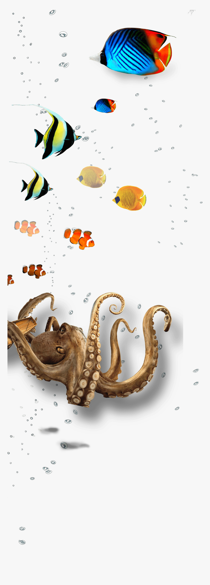 Underwater Layer 1 Full - Octopus, HD Png Download, Free Download