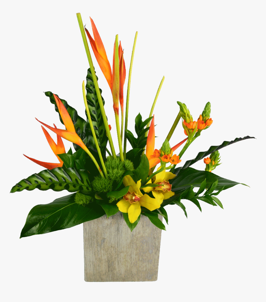 Tropical Flower Vase Png - Bouquet, Transparent Png, Free Download