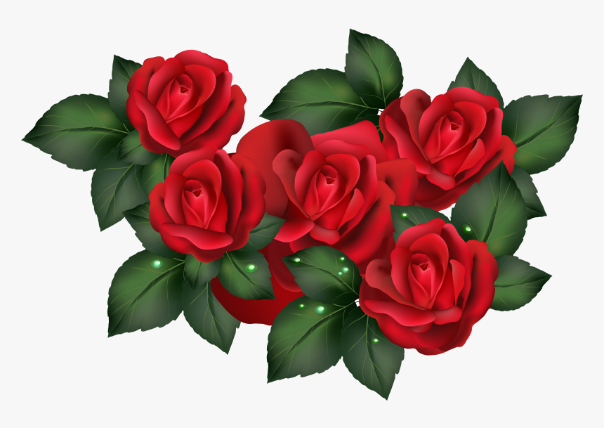 Transparent Red Roses Png - Red Rose, Png Download, Free Download