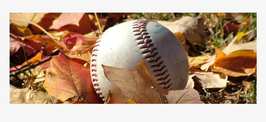 Fall Baseball, HD Png Download, Free Download