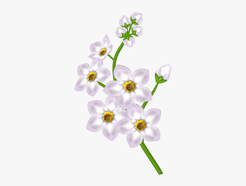 Flower Transparent Clipart, HD Png Download, Free Download