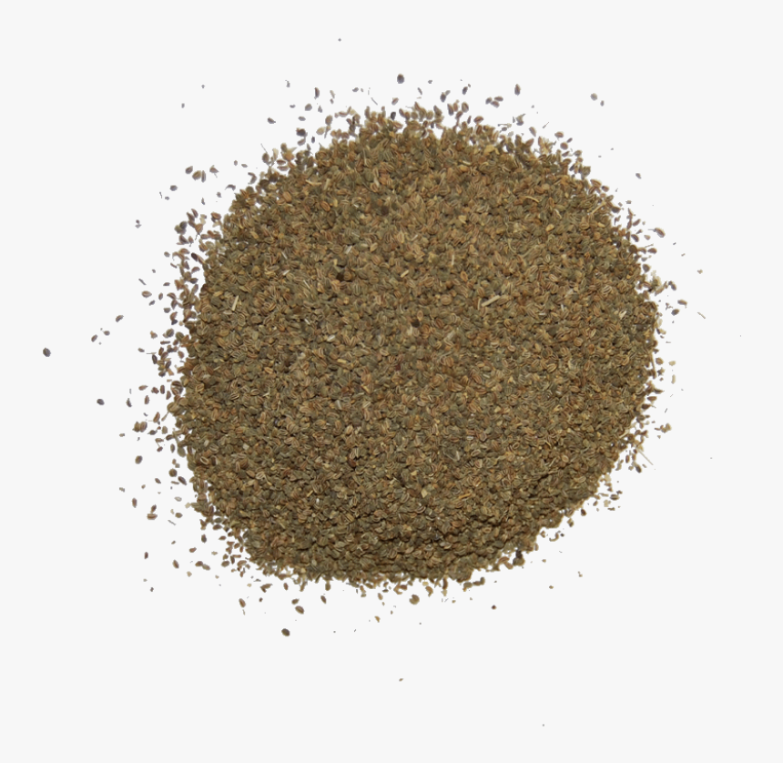 The Herb Shop - Transparent Png Celery Seeds Png, Png Download, Free Download