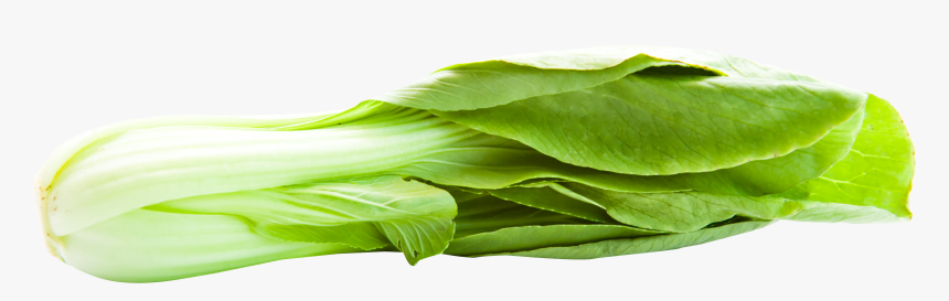 Bok Choy Png, Transparent Png, Free Download