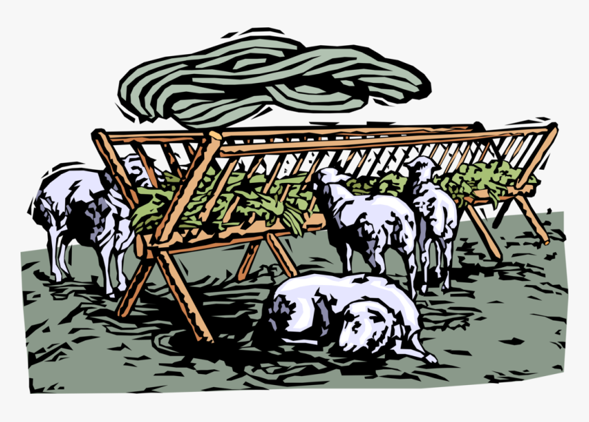 Vector Illustration Of Farm Sheep Feeding On Fresh - Illustration, HD Png Download, Free Download