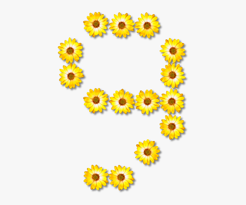 Sunflower Seed,chrysanths,flower - Number Sunflowers Design, HD Png Download, Free Download