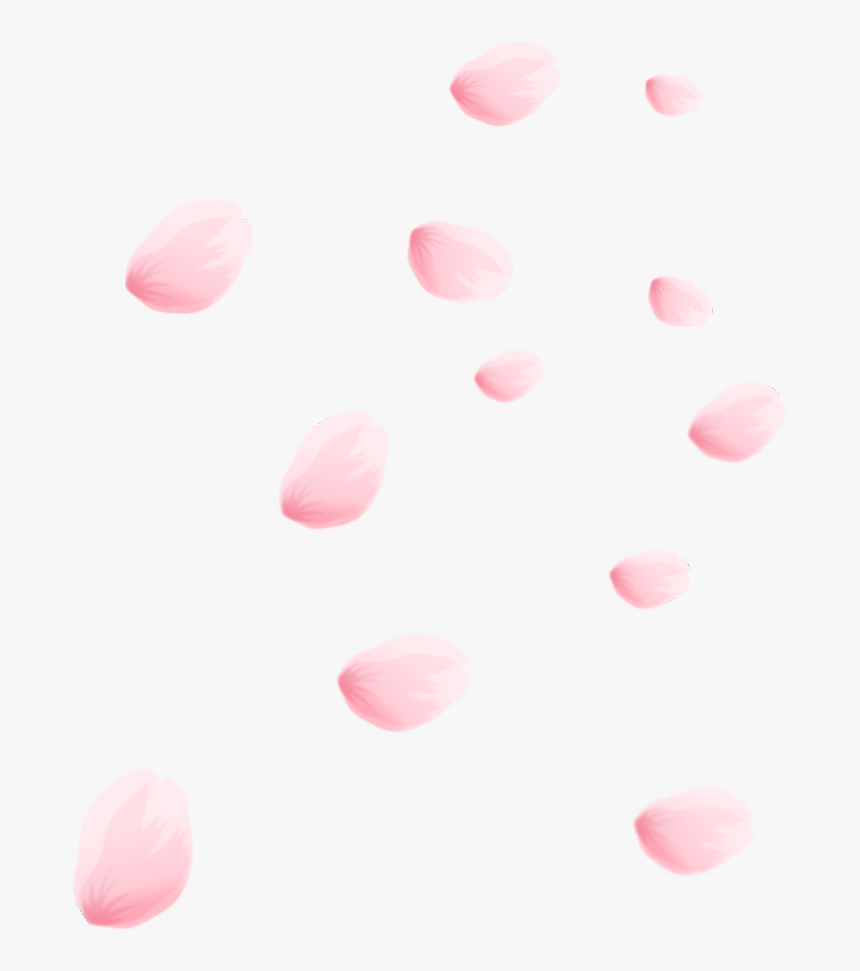 #petals #rose #pastel #pink #decoration Confetti #wedding - Pastel Pink Rose Petal Png, Transparent Png, Free Download