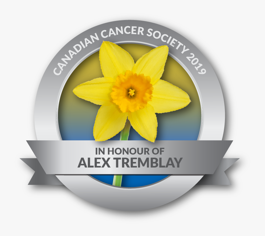 Daffodils For Cancer, HD Png Download, Free Download