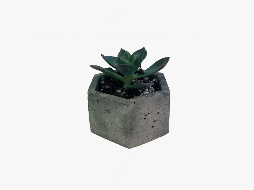 Desk Flower Pot Png, Transparent Png, Free Download