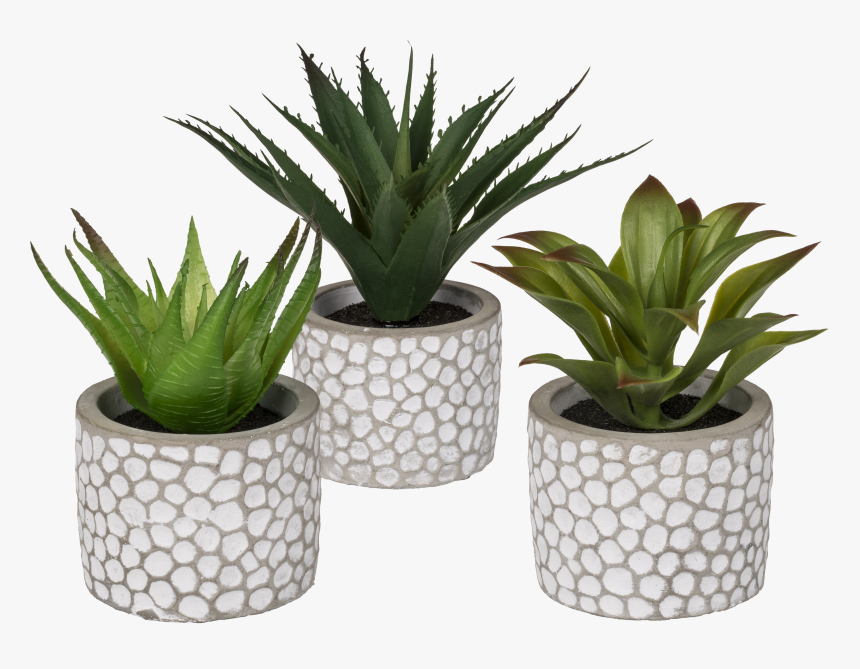 Flowerpot, HD Png Download, Free Download