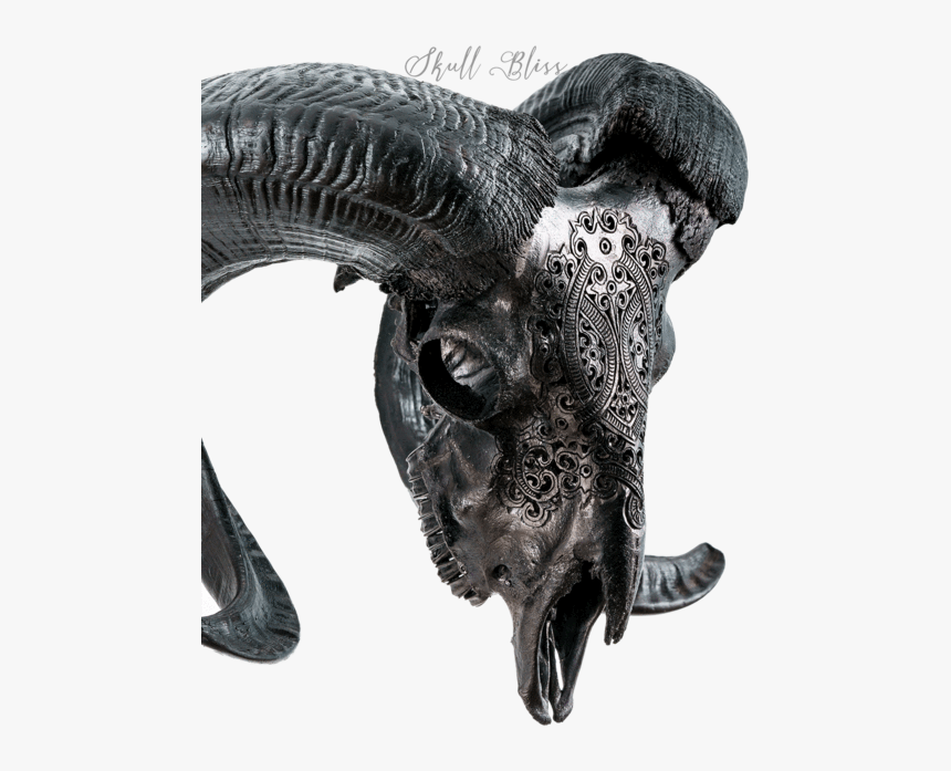 Carved Ram Skull - Ram Skull Black And White, HD Png Download, Free Download