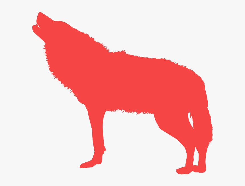 Dog, HD Png Download, Free Download