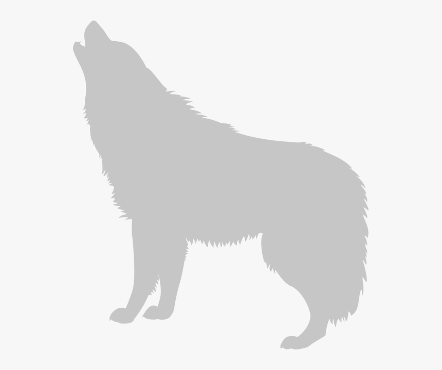Wolf Howling - Schipperke, HD Png Download, Free Download
