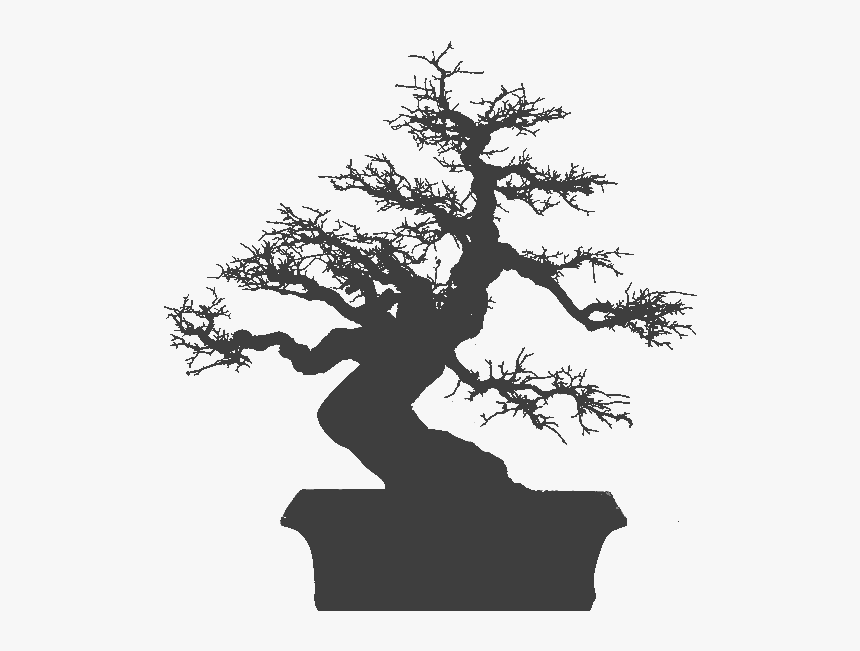 National Bonsai Foundation Apple Iphone 7 Plus Iphone - Bonsai Hd, HD Png Download, Free Download