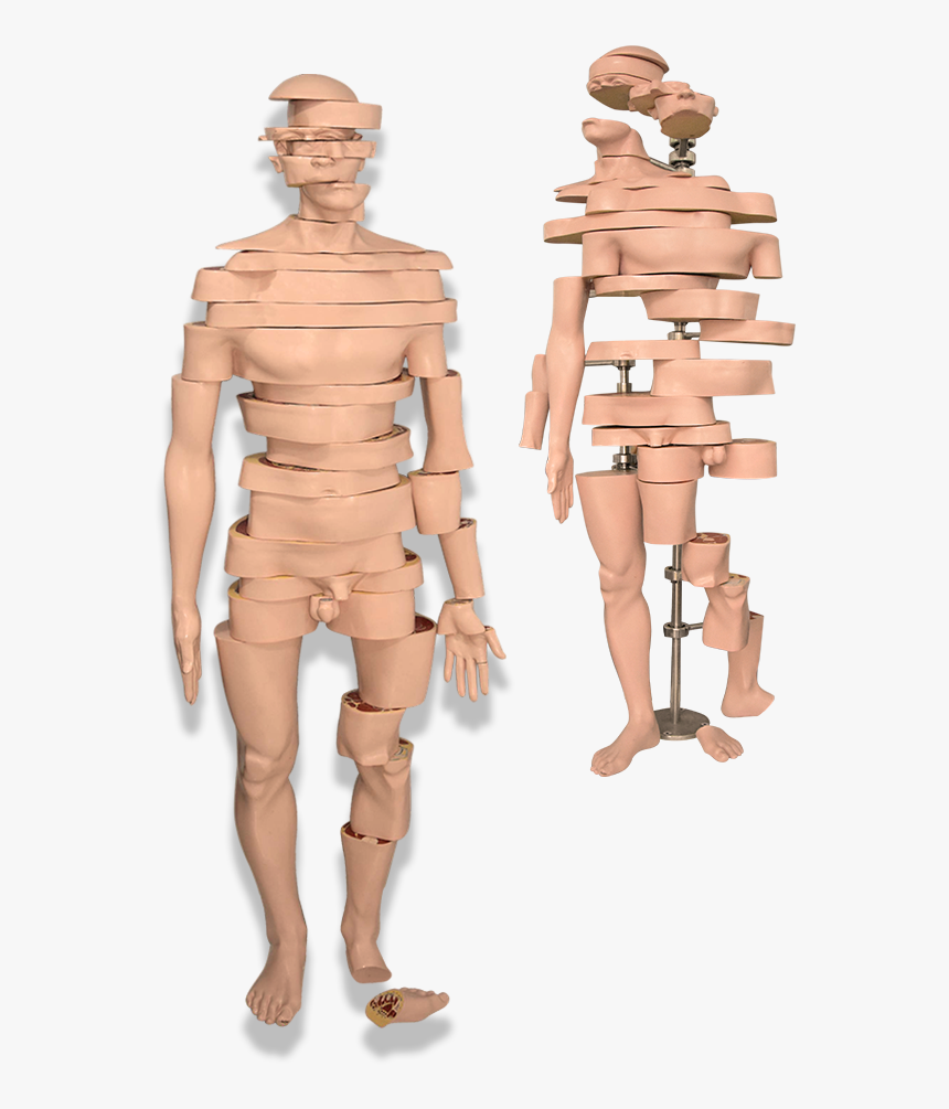 Transparent Torso Png - Figurine, Png Download, Free Download