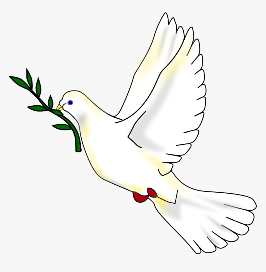 Transparent Holy Spirit Dove Png - Rock Dove, Png Download - kindpng