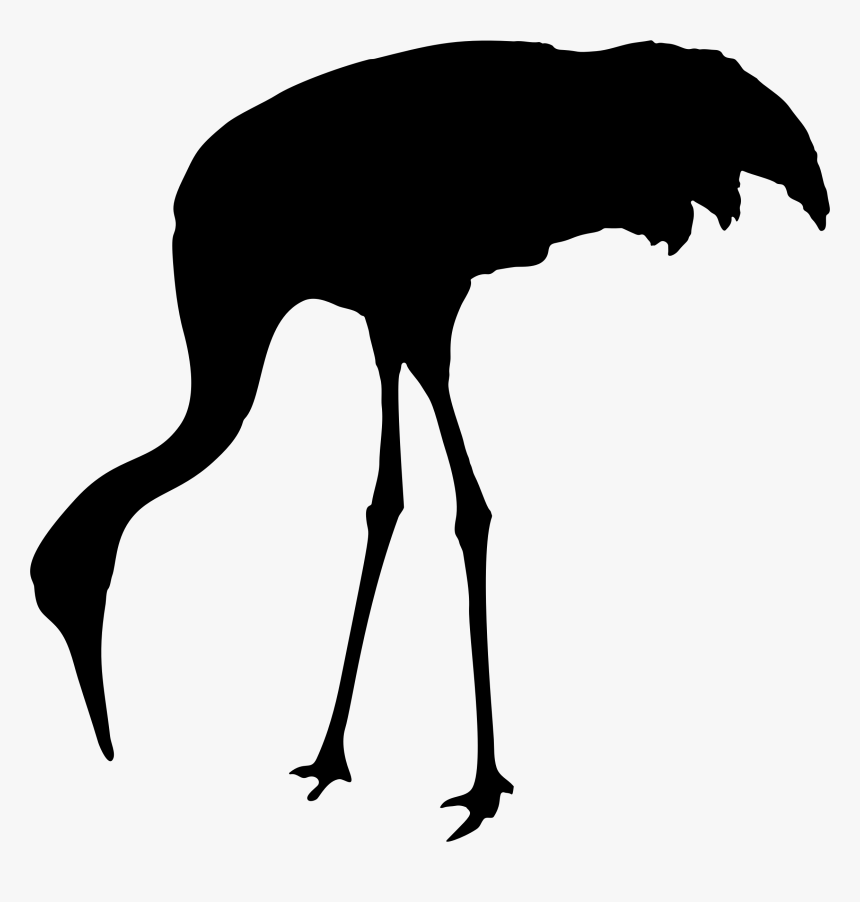 Sandhill Crane Silhouette Clip Arts - Sandhill Crane Clipart, HD Png Download, Free Download