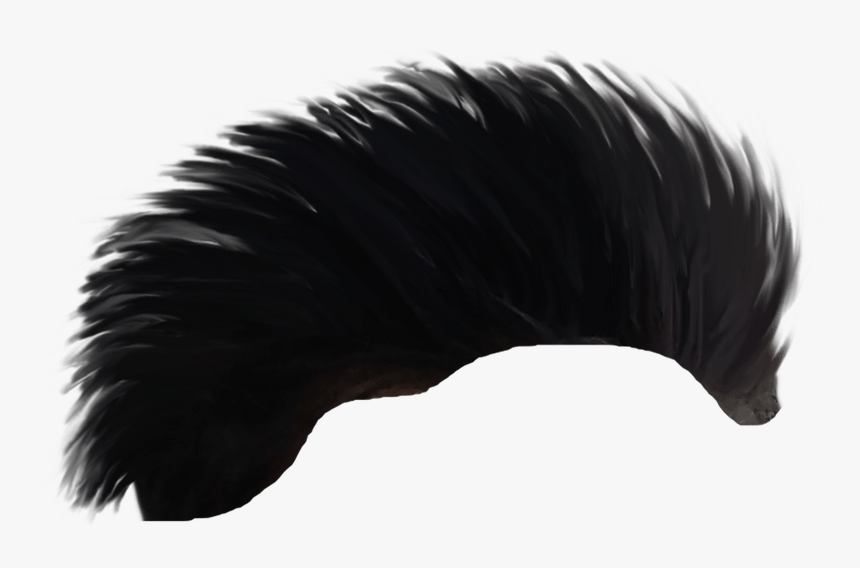 Cb Hair Png - Feather, Transparent Png, Free Download