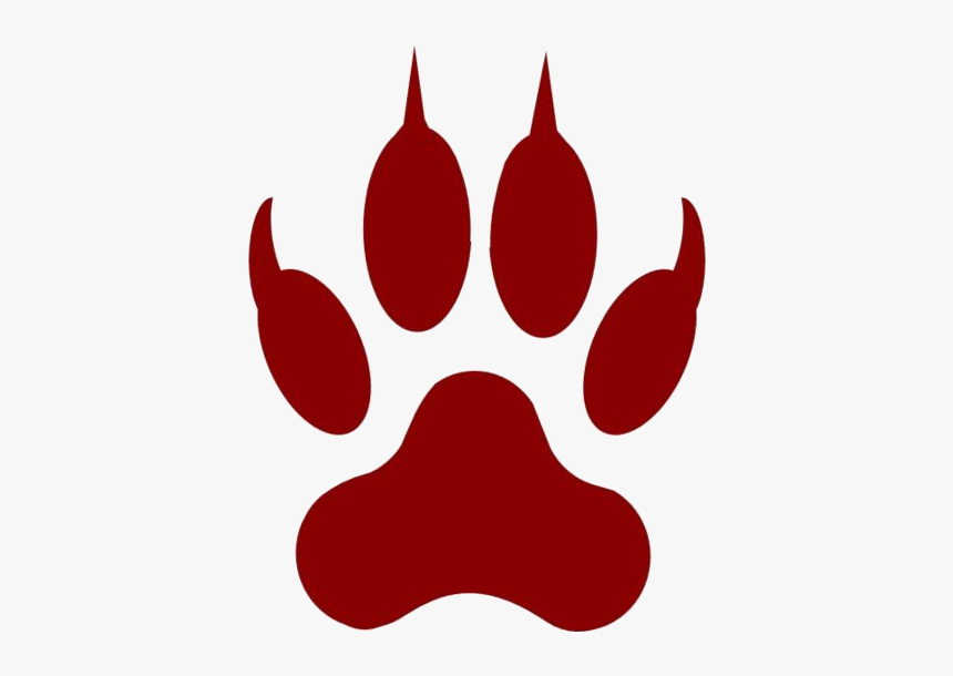 Tiger Claw Png Transparent Images - Lion Footprint Png, Png Download, Free Download