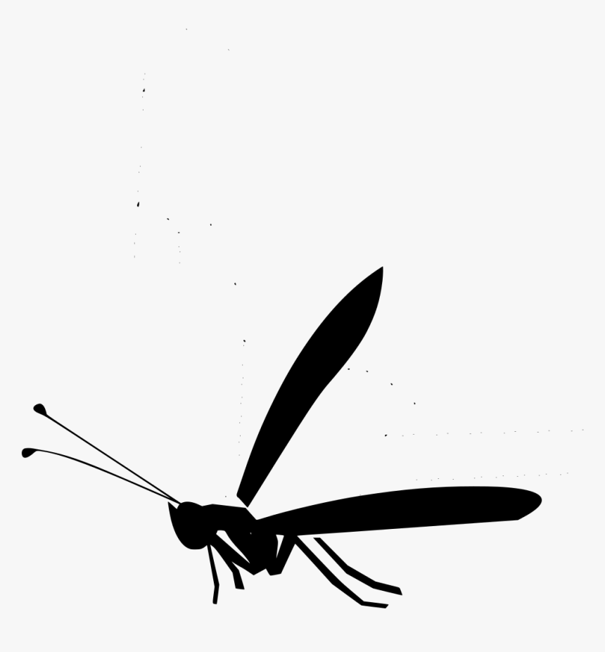 Insect, HD Png Download, Free Download