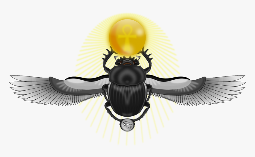 Scarab, Bug, Wings, Ank, Eye, Horus - Winged Scarab Beetle, HD Png Download, Free Download