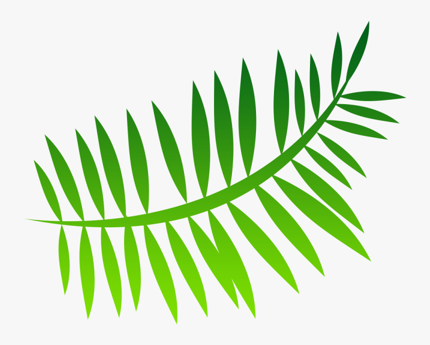 Fern Png Image - Png Fern Cartoon, Transparent Png, Free Download