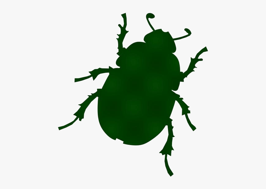 Beetle Png, Transparent Beetle Hd Wallpaper, Transparent - Transparent Background Beetle Clipart, Png Download, Free Download