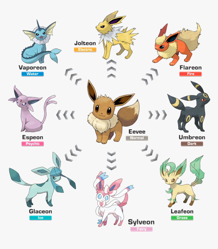 Eevee Evolution Pokemon Go 2019, HD Png Download, Free Download