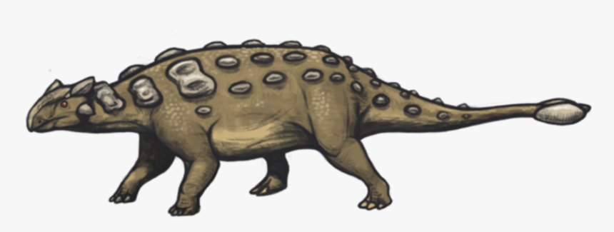 Ankylosaurus Facts, HD Png Download, Free Download