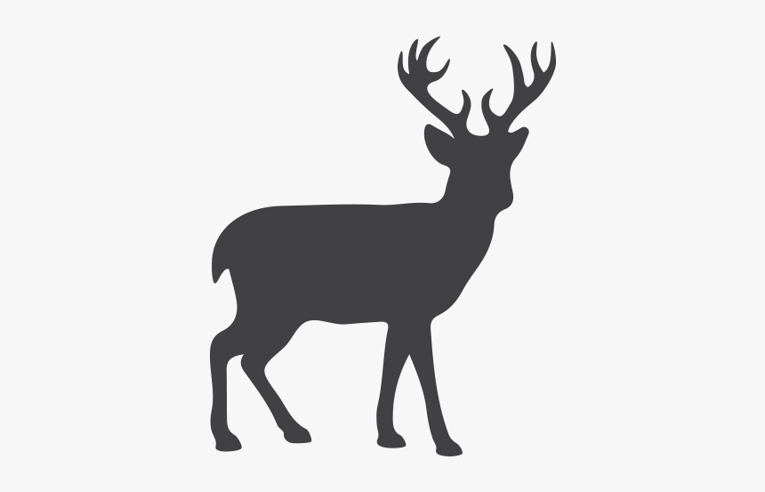 Deer Paper Cut Out, HD Png Download, Free Download