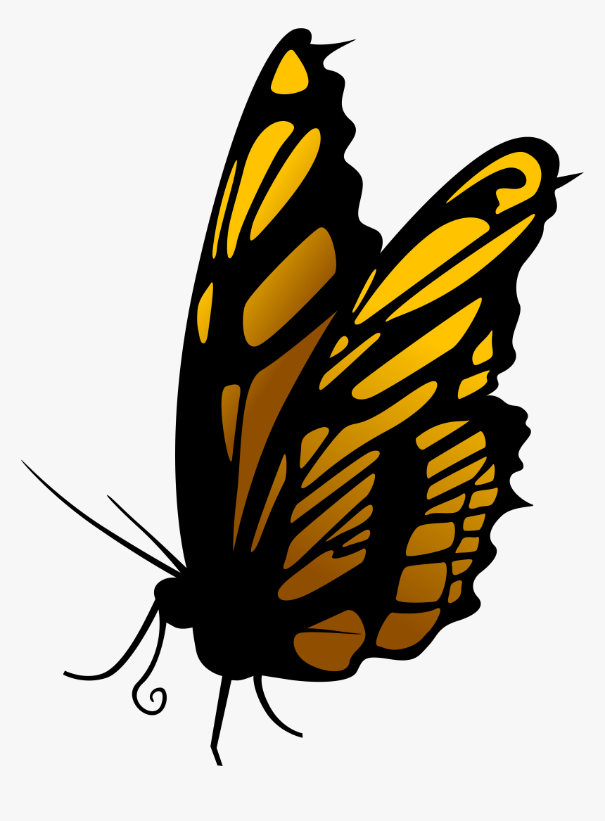 Butterfly Png Clip Art, Transparent Png, Free Download