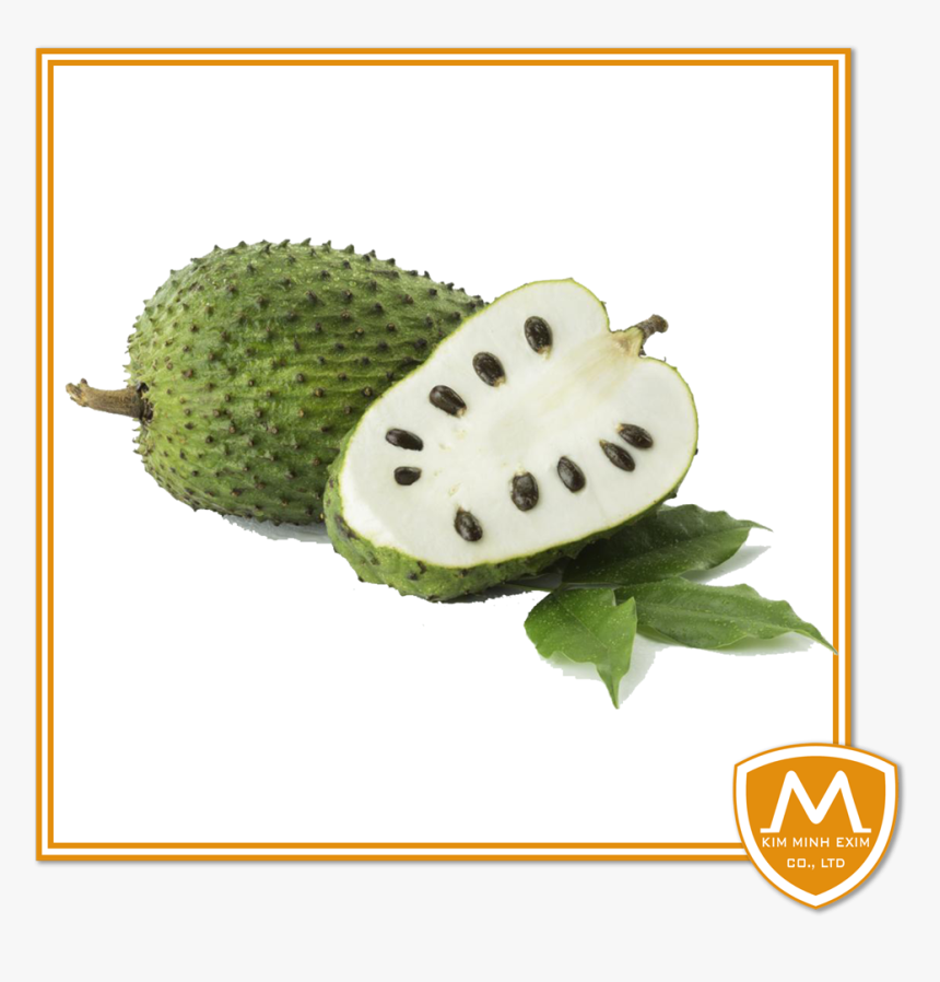 Soursop Graviola Guyabano Fruits Hd Png Download Kindpng