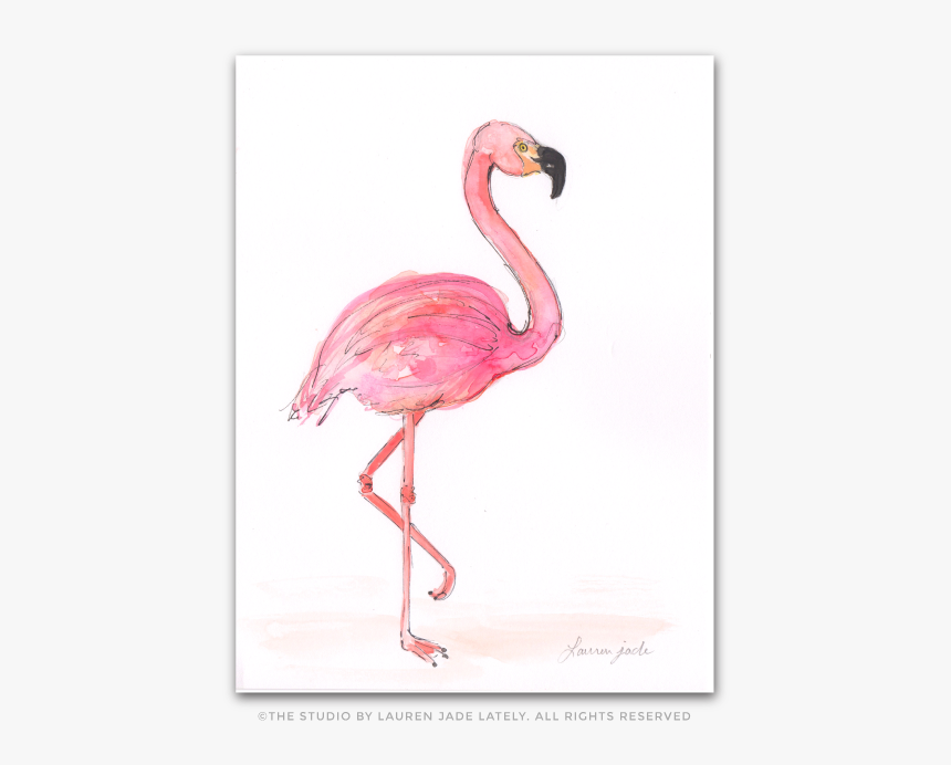 Flamingo, HD Png Download, Free Download