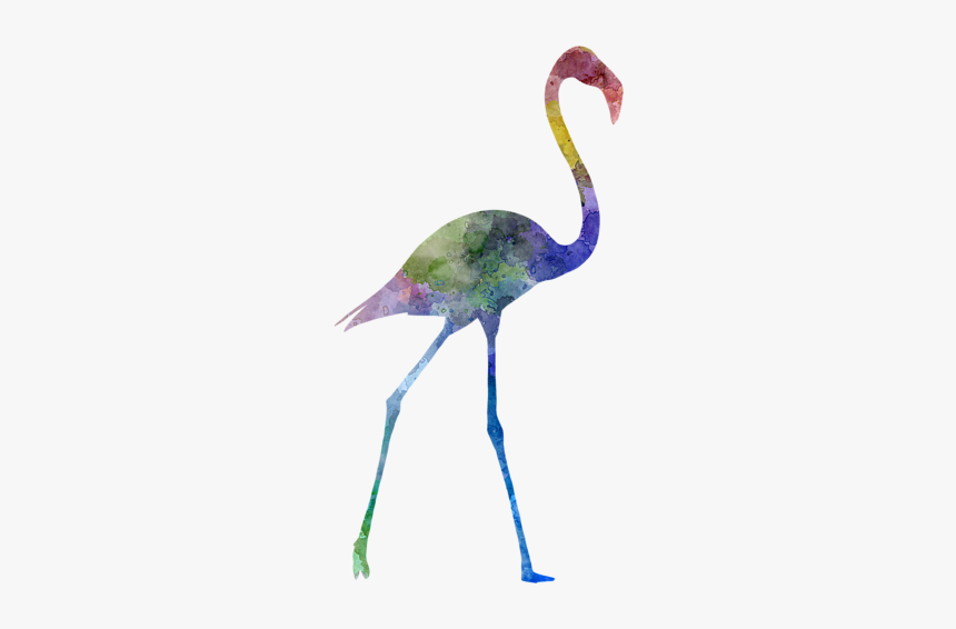 Greater Flamingo, HD Png Download, Free Download