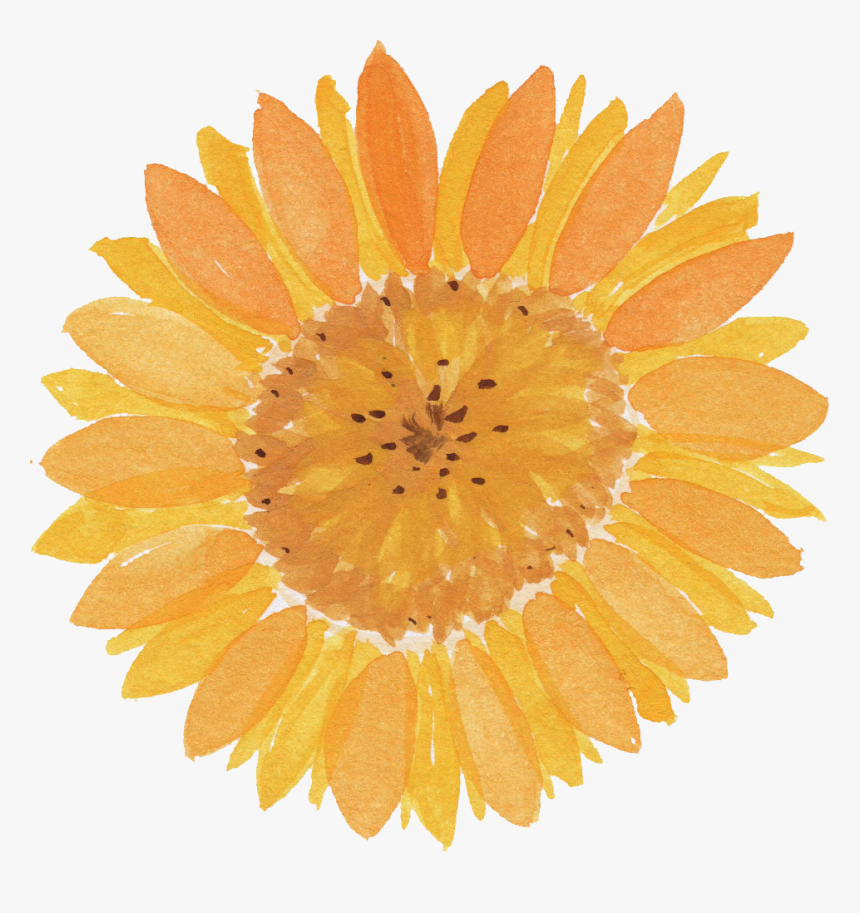 Transparent Background Watercolor Sunflower Png, Png Download, Free Download
