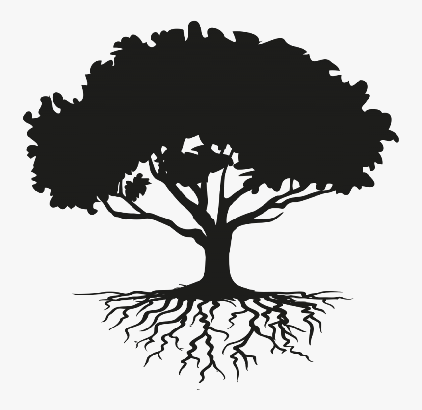 Tree Drawing Root Clip Art - Tree With Roots Silhouette, HD Png ...