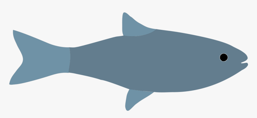 Fish Icon Grey - Cartilaginous Fish, HD Png Download, Free Download