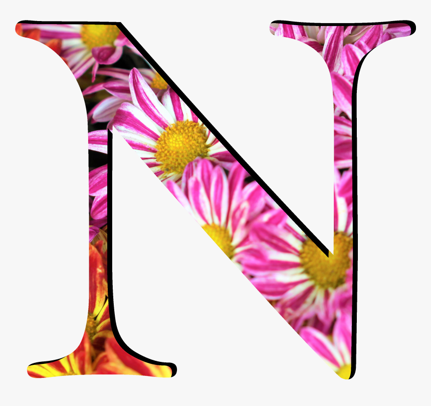 Flower Pattern Letters N - Top Gun Logo, HD Png Download, Free Download