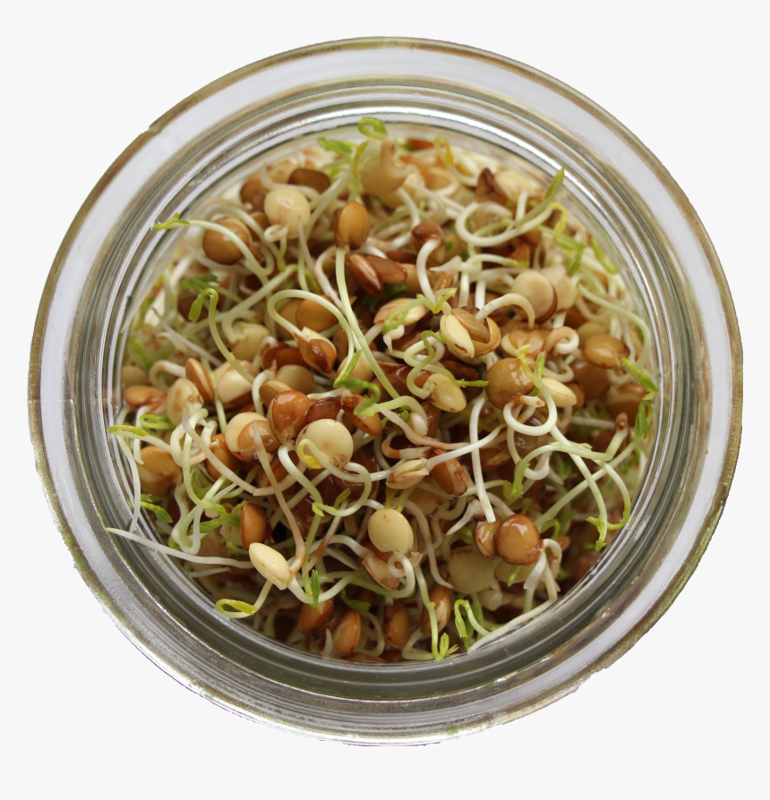 Mung Bean, HD Png Download, Free Download