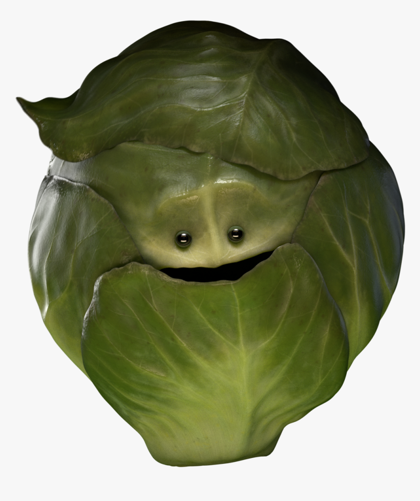 Cabbage, HD Png Download, Free Download