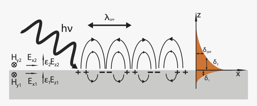Surface Plasmon, HD Png Download, Free Download