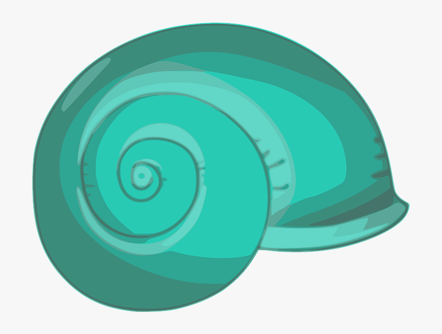 Shell, Beach, Clam, Seashell, Sea, Ocean, Sand, Summer - Spiral, HD Png Download, Free Download