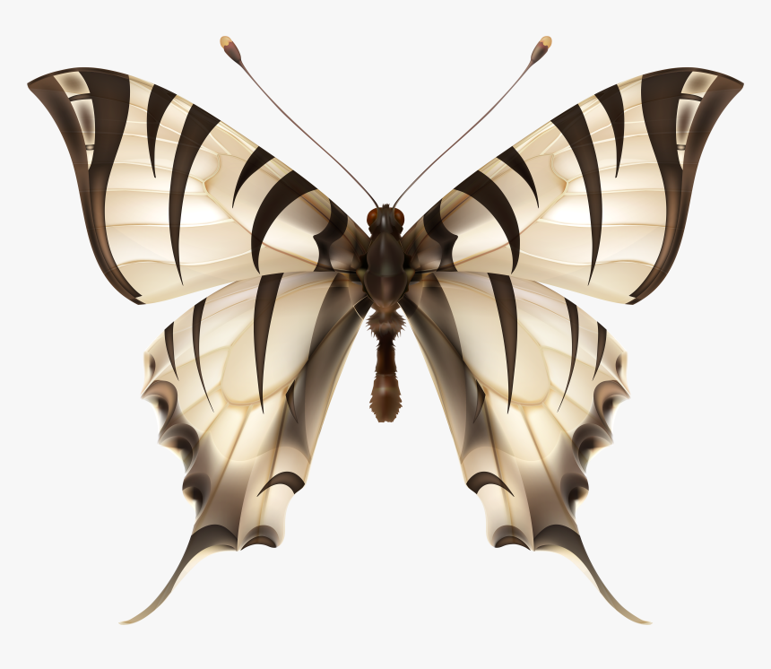 Zebra Wing Butterfly Images Png, Transparent Png, Free Download