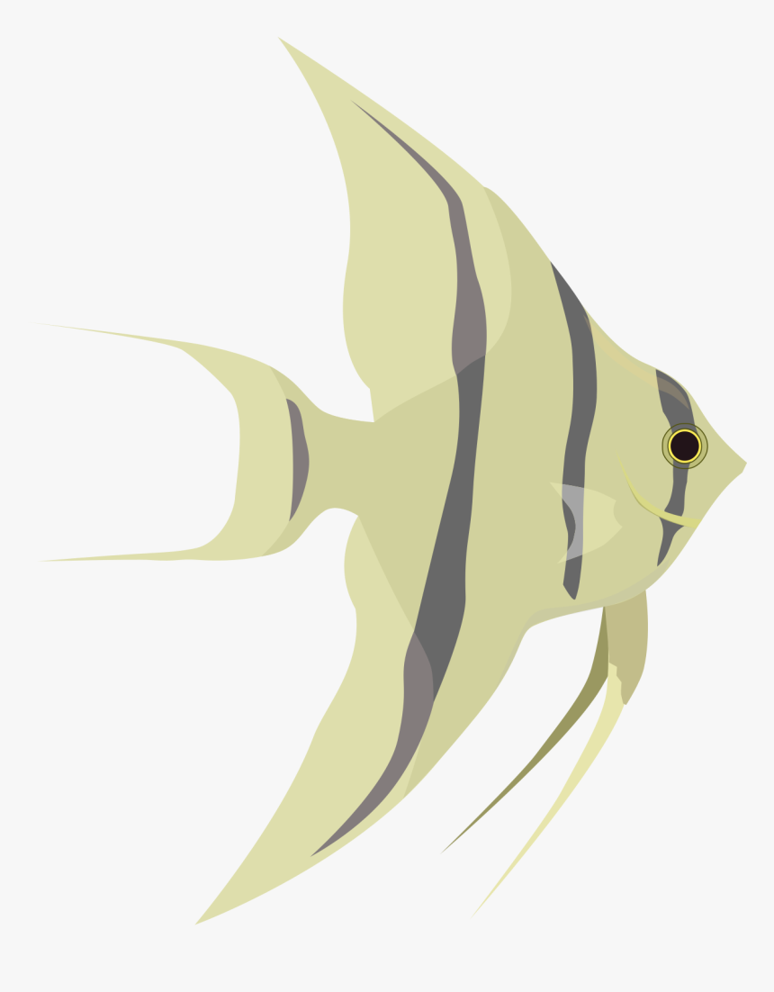 Construction Paper Angelfish, HD Png Download, Free Download