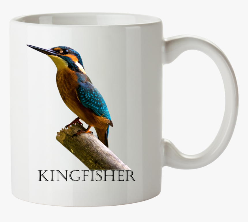 Kingfisher Png, Transparent Png, Free Download