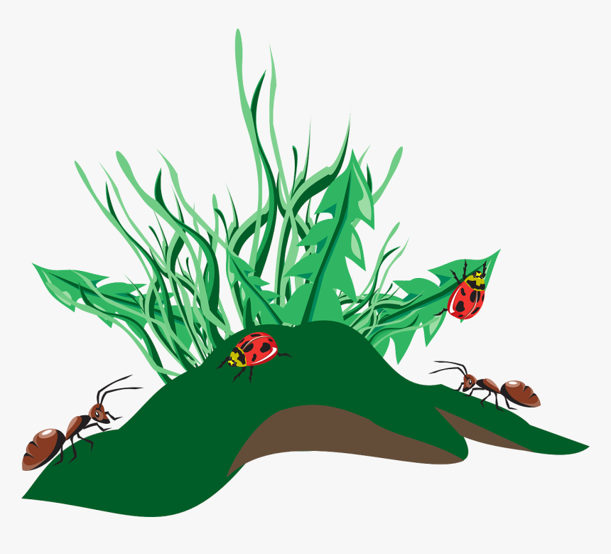 Ants Clip Art, HD Png Download, Free Download