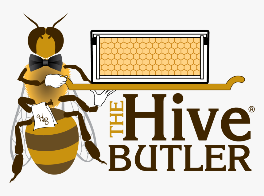 Bee Hive Clipart June - Strayer University, HD Png Download, Free Download