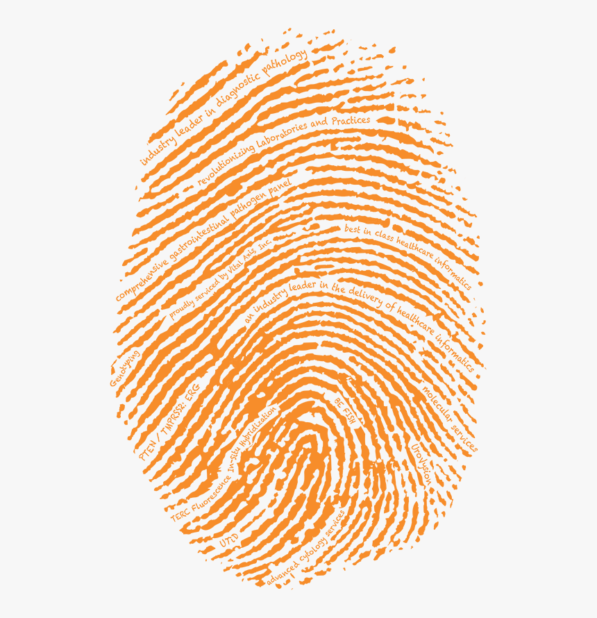 High Resolution Fingerprint Hd, HD Png Download, Free Download