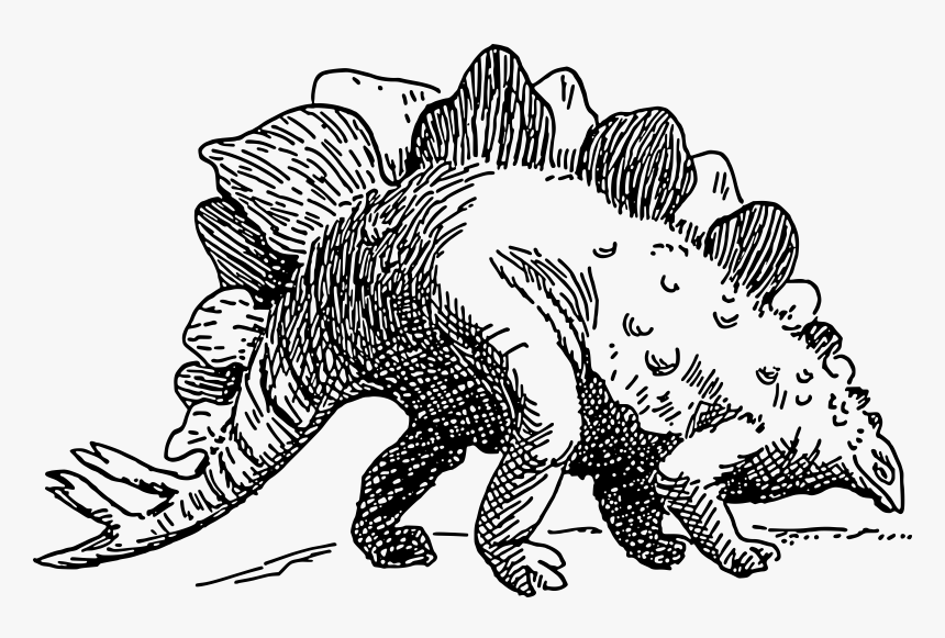 Stegosaurus Clip Arts - Dinosaur Clipart Black And White Stegosaurus, HD Png Download, Free Download